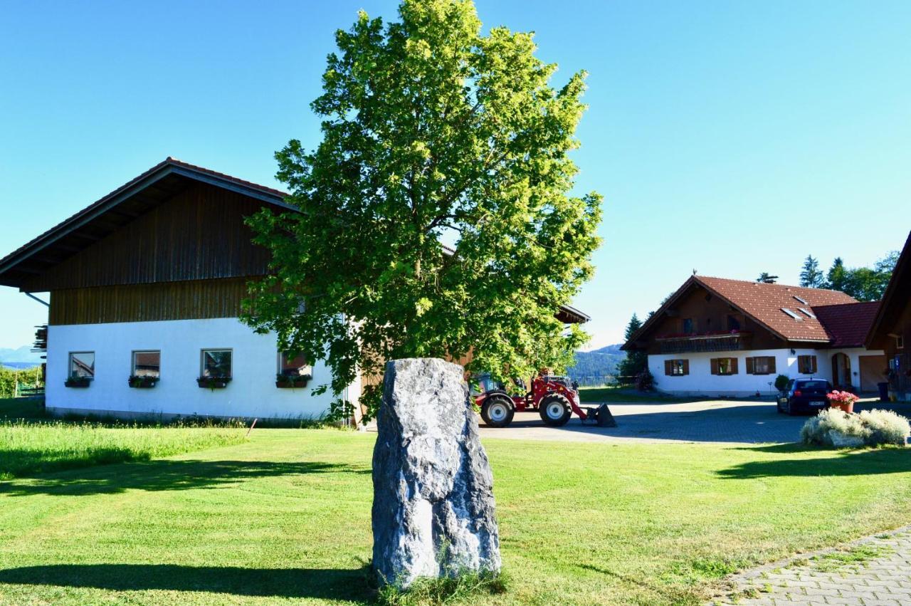 Ferienwohnung Arnold Scheidegg Bagian luar foto